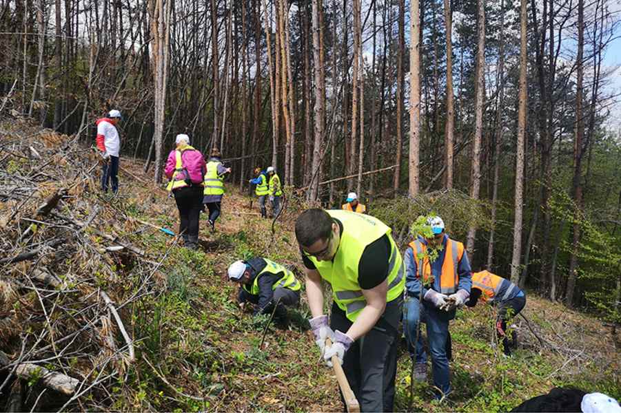 Междуфирмено състезание за залесяване дари средства в подкрепа на програма „Училището има смисъл“