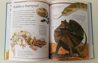 Голяма детска енциклопедия